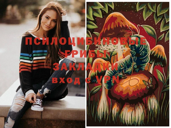 эйфоретик Алзамай