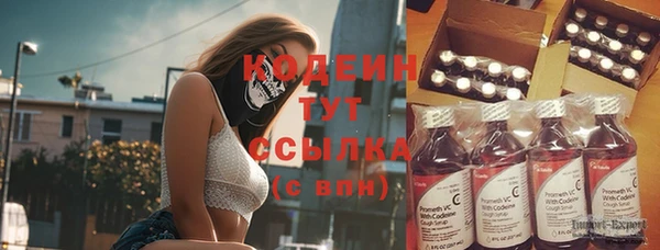 эйфоретик Алзамай
