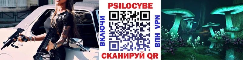 Галлюциногенные грибы Psilocybine cubensis  Ленинск 