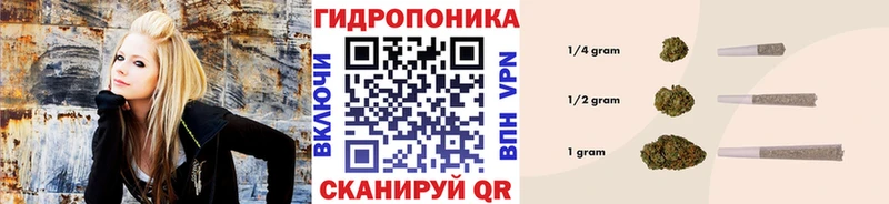shop как зайти  хочу наркоту  Ленинск  МАРИХУАНА ГИДРОПОН 